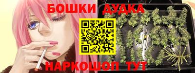 спиды Обнинск