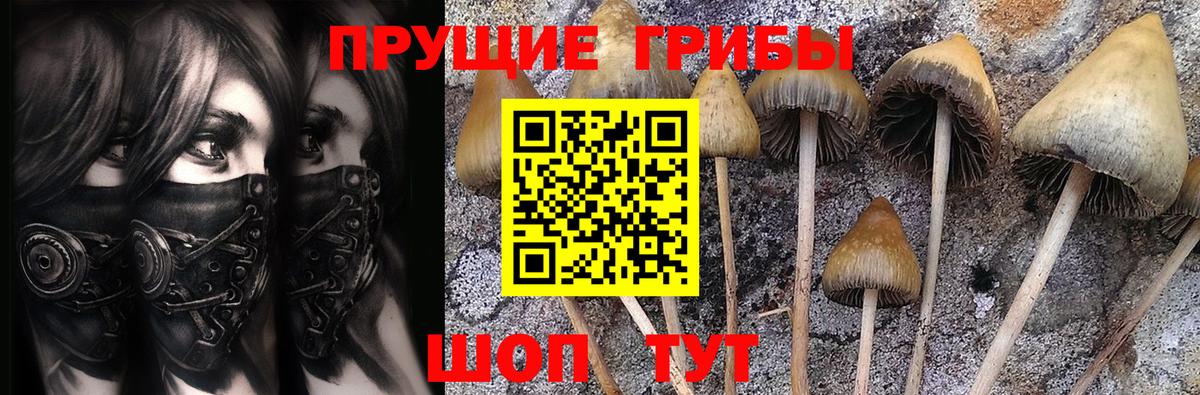 Строитель  Псилоцибиновые грибы GOLDEN TEACHER  Вход с VPN 