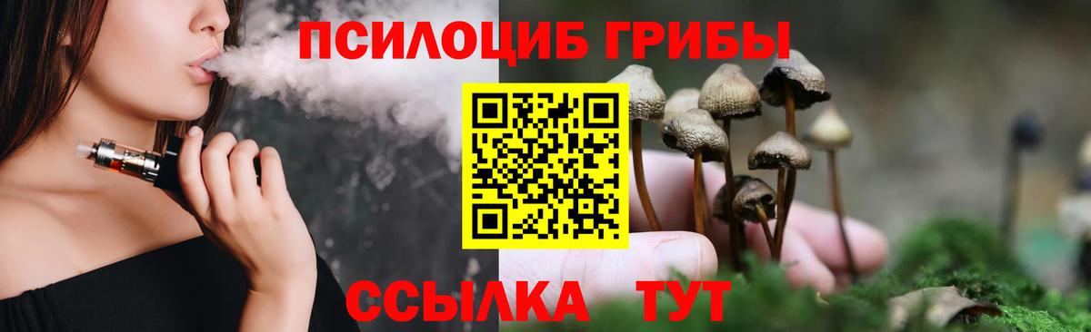 Псилоцибиновые грибы Psilocybine cubensis Строитель